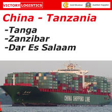 Expédition de fret maritime de Shenzhen / Guangzhou à Matadi, Dar Es Salaam